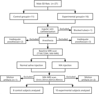 Evidence for Dopamine Abnormalities Following Acute Methamphetamine Exposure Assessed by Neuromelanin-Sensitive Magnetic Resonance Imaging